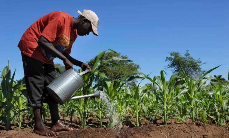 Sustainable Agriculture